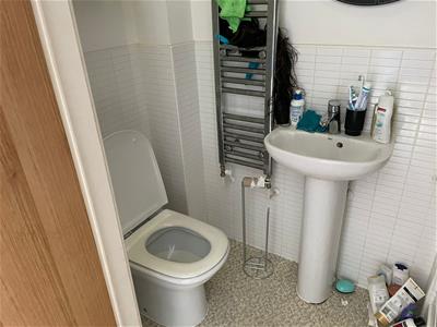 Picture 7